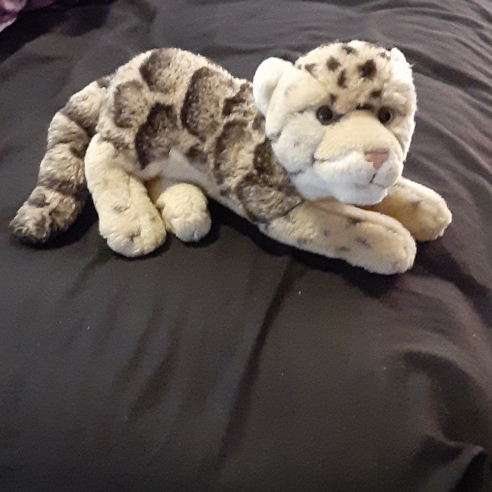 Webkinz signature endangered clouded leopard